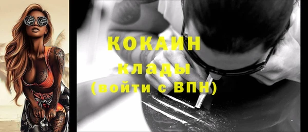 стаф Каменногорск