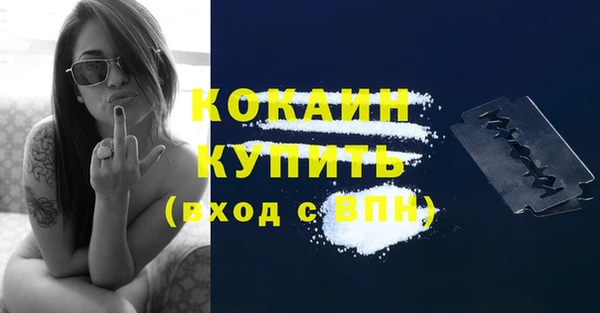 стаф Каменногорск