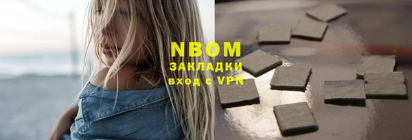 стаф Каменногорск