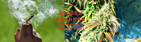 спайс Карпинск